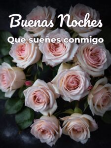 Buenas noches a mi novio