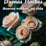 buenas noches buenas noches, mi vida