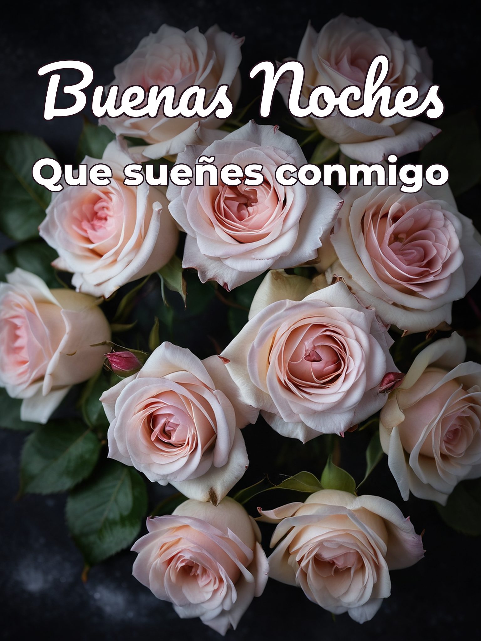 Buenas noches a mi novio