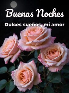 Buenas noches a tu amor