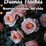 buenas noches buenas noches, mi vida