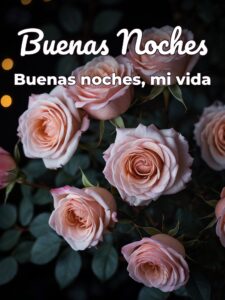 Buenas noches a tu amor para Facebook