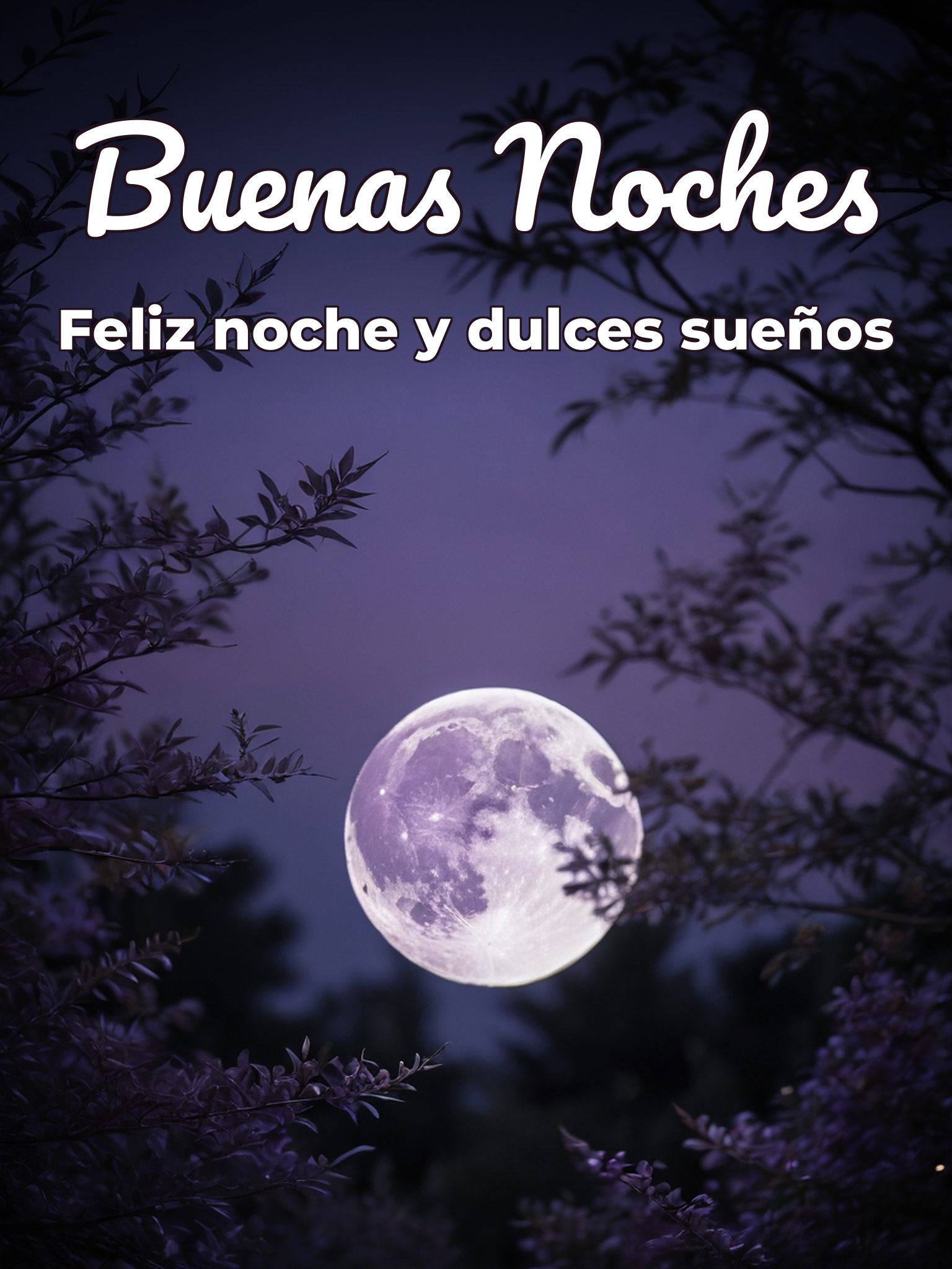 Buenas noches amiga imágenes para WhatsApp