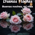 buenas noches buenas noches, mi vida