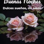 buenas noches dulces sueños, mi amor