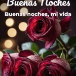 buenas noches buenas noches, mi vida