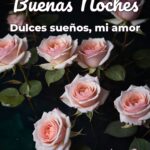 buenas noches dulces sueños, mi amor