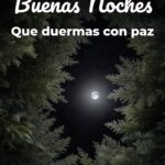 buenas noches que duermas con paz