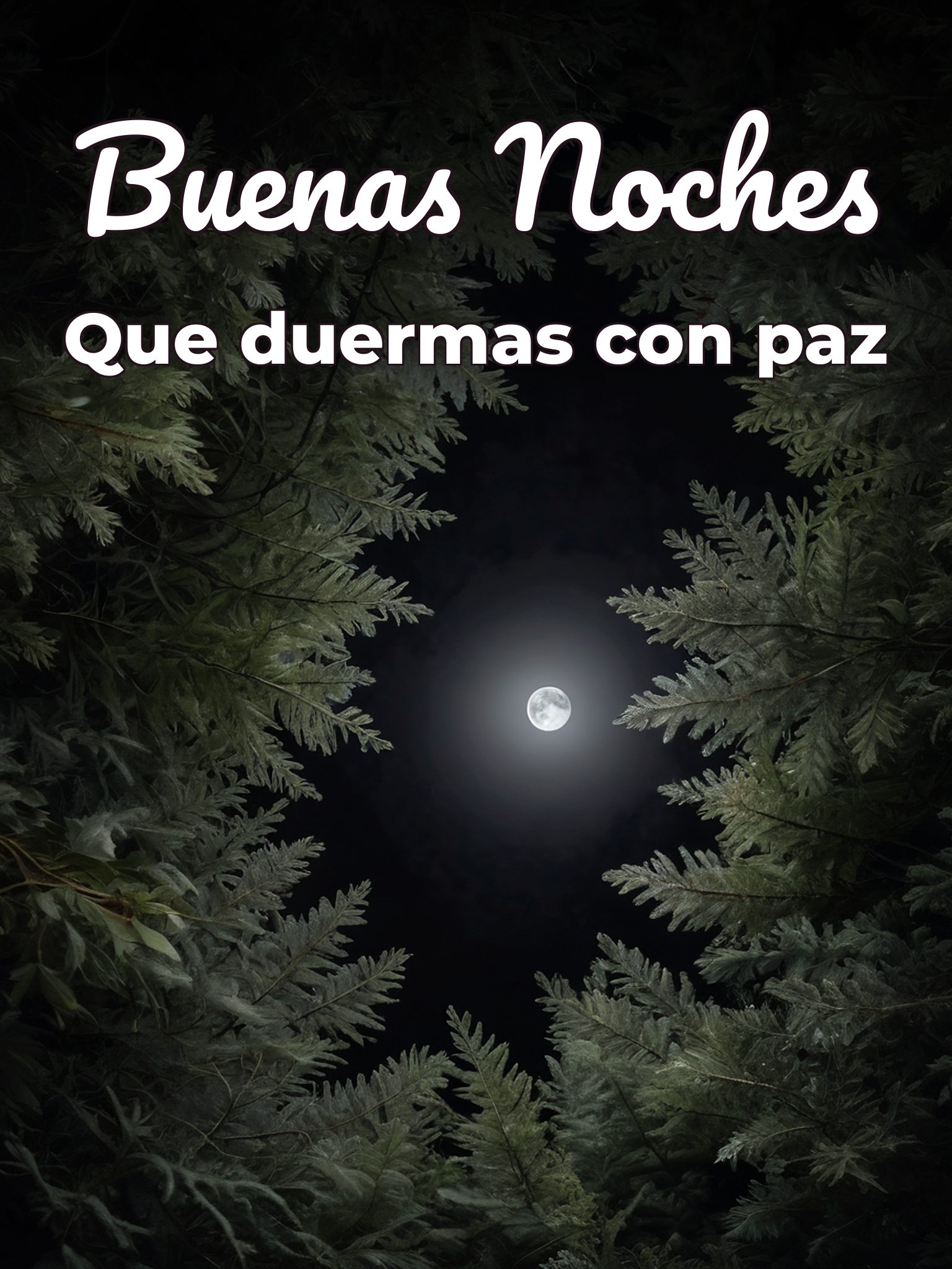 Buenas noches buenas noches buenas noches para celular