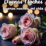 buenas noches buenas noches, mi vida