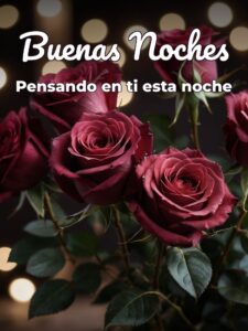Buenas noches con imágenes de amor
