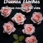 buenas noches buenas noches, mi vida