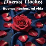 buenas noches buenas noches, mi vida