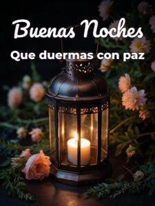 Buenas noches en frases para WhatsApp
