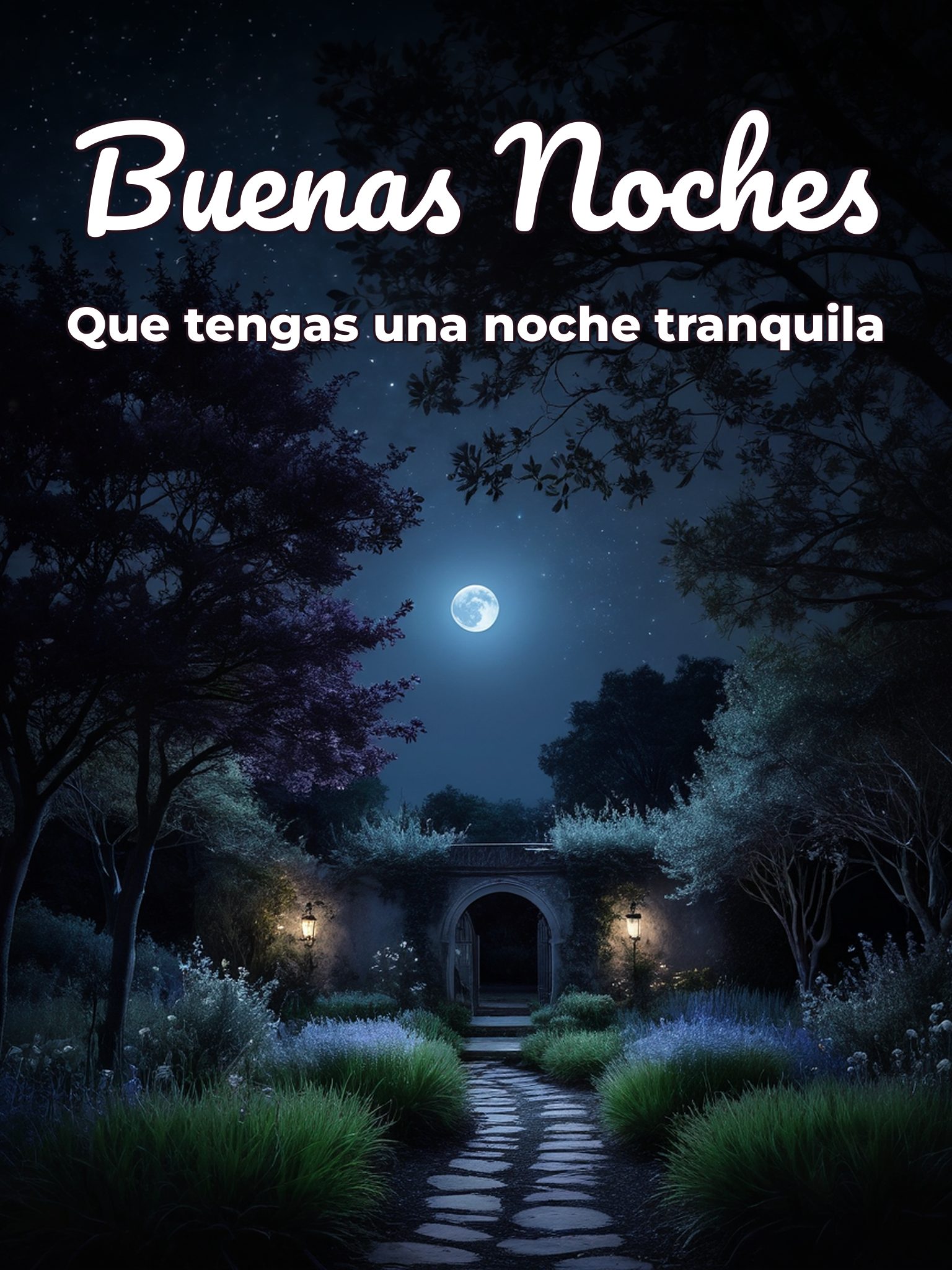 Buenas noches hermosa mujer para Facebook
