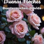 buenas noches buenas noches, mi vida