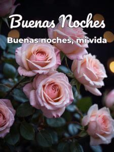 Buenas noches imágenes de amor para Facebook