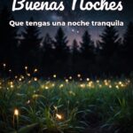 buenas noches que tengas una noche tranquila