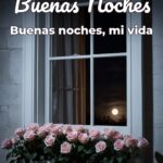 buenas noches buenas noches, mi vida
