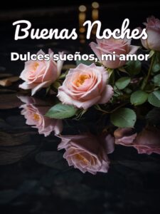 Buenas noches mi amor buenas noches vida mia