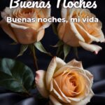 buenas noches buenas noches, mi vida