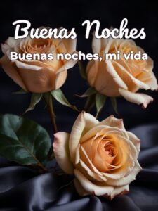 Buenas noches mi amor buenas noches vida mia para celular