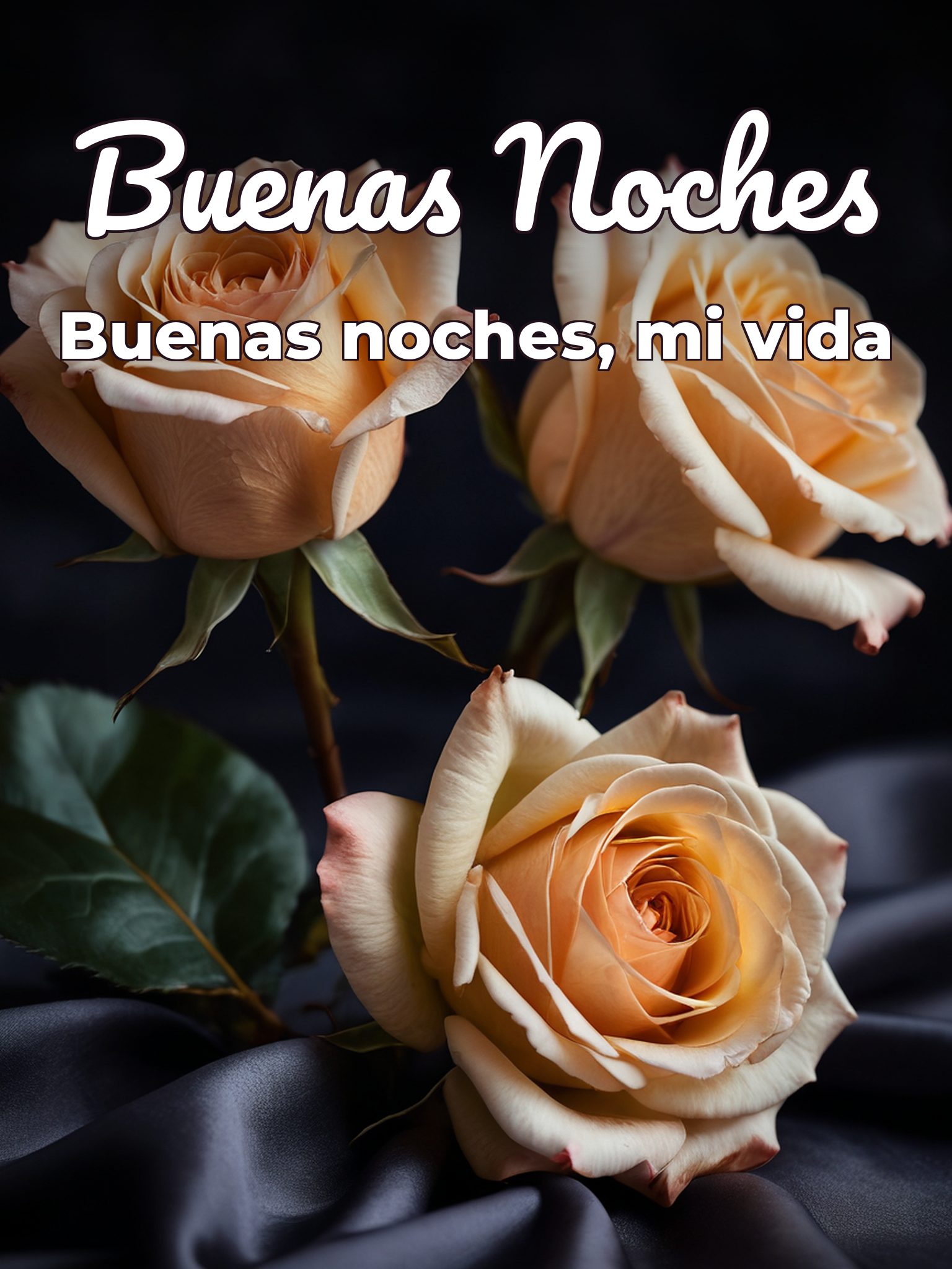 Buenas noches mi amor buenas noches vida mia para celular
