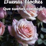buenas noches que sueñes conmigo