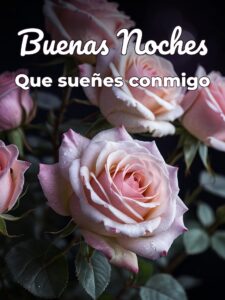 Buenas noches mi amor buenas noches vida mia para Facebook
