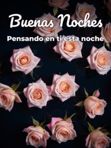 Buenas noches mi amor frases para WhatsApp