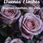 buenas noches buenas noches, mi vida