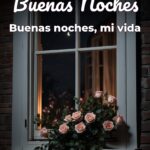 buenas noches buenas noches, mi vida