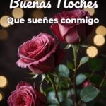 buenas noches que sueñes conmigo