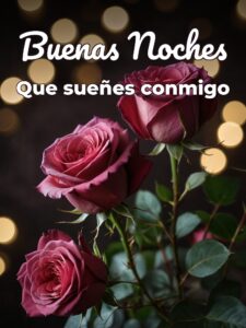 Buenas noches mi amor te quiero mucho para Facebook