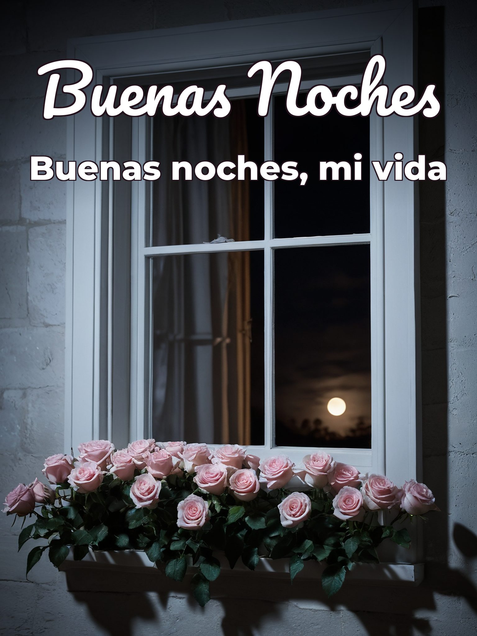 Buenas noches mi amor
