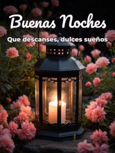 Buenas noches mi vida hermosa