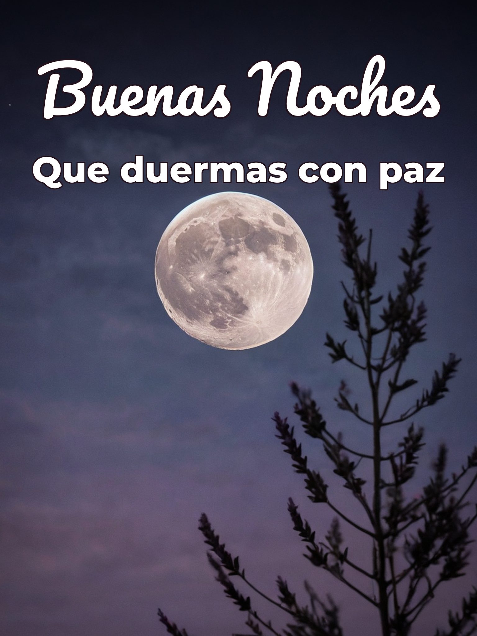 Buenas noches mi vida hermosa para WhatsApp