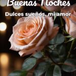 buenas noches dulces sueños, mi amor
