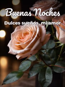 Buenas noches novia para WhatsApp