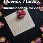 buenas noches buenas noches, mi vida