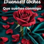 buenas noches que sueñes conmigo