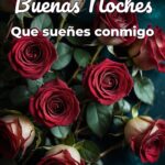 buenas noches que sueñes conmigo