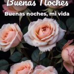 buenas noches buenas noches, mi vida