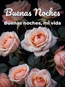 Buenas noches para mi amor para WhatsApp