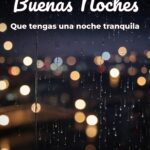 buenas noches que tengas una noche tranquila