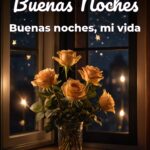 buenas noches buenas noches, mi vida
