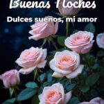 buenas noches dulces sueños, mi amor