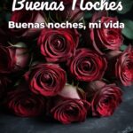buenas noches buenas noches, mi vida