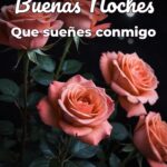 buenas noches que sueñes conmigo