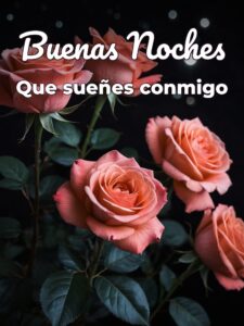 Buenas noches para mi novia para WhatsApp